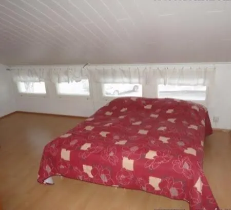 Golden Cat Vko 16, 29, 52 *