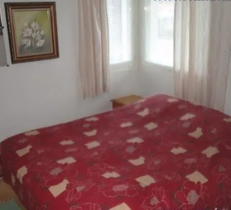 Golden Cat Apartment